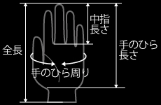 work-gloves_size